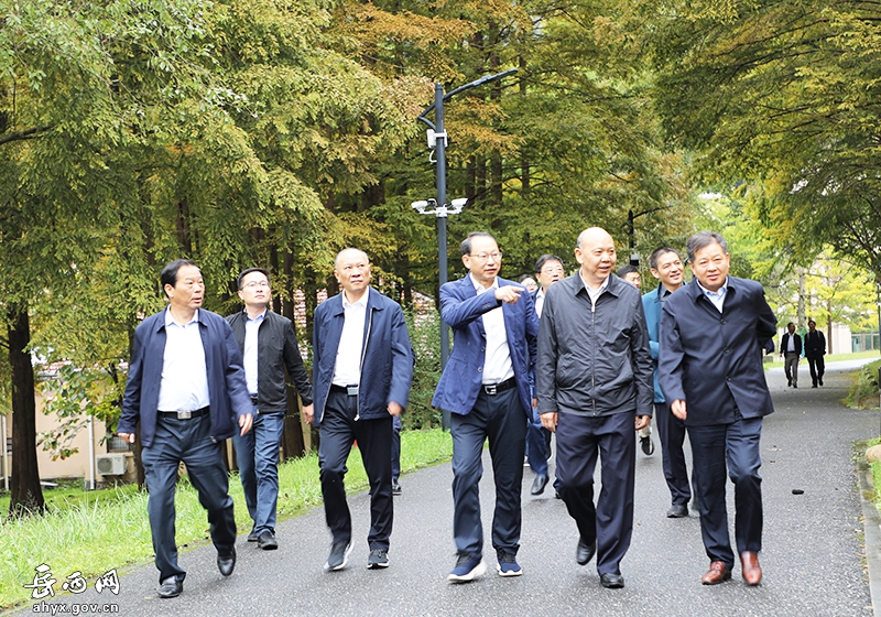 李建中来岳西调研林长制工作