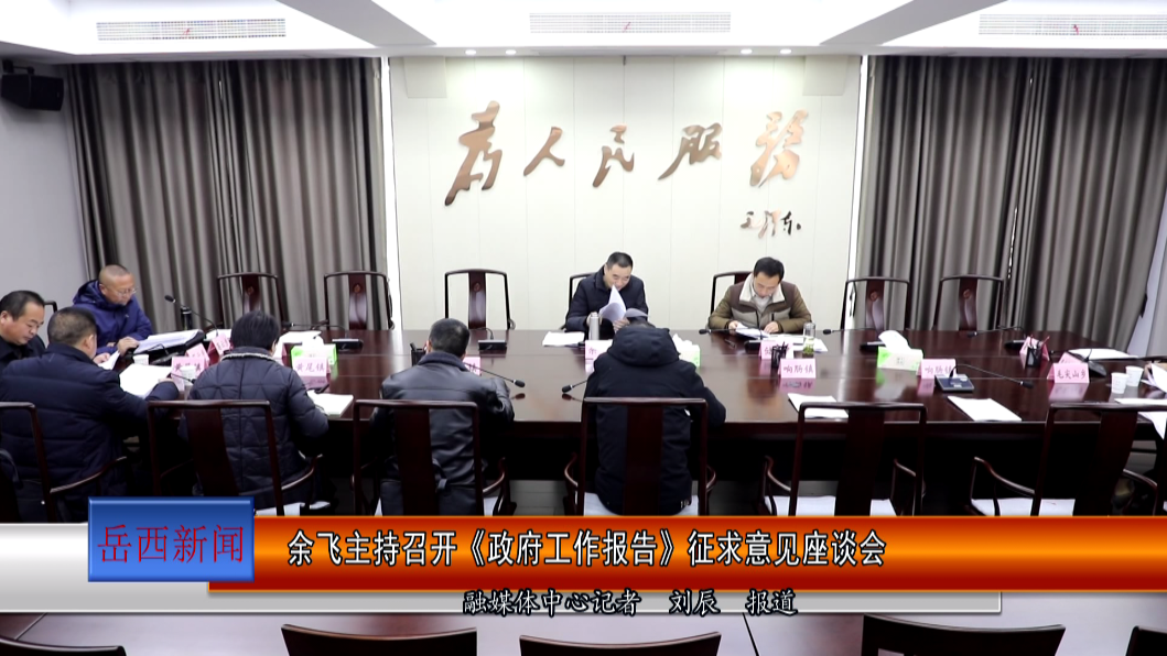 余飞主持召开《政府工作报告》征求意见座谈会